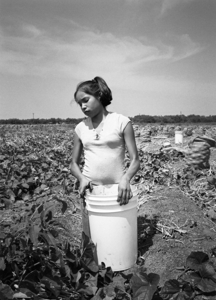 Yesenia, age 12, harvesting onions in South Texas (Photo courtesy of Robin Romano)