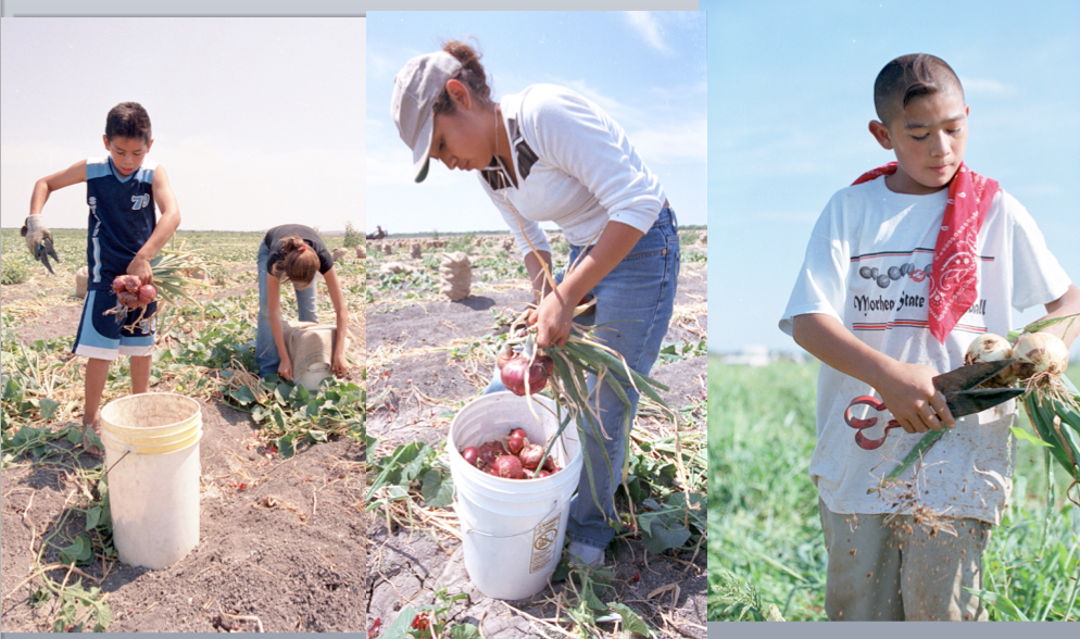 U.S.+Child+Labor