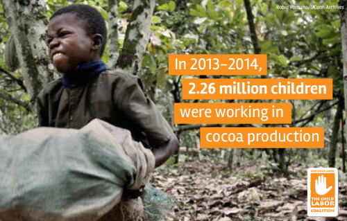 cocoa stat 1