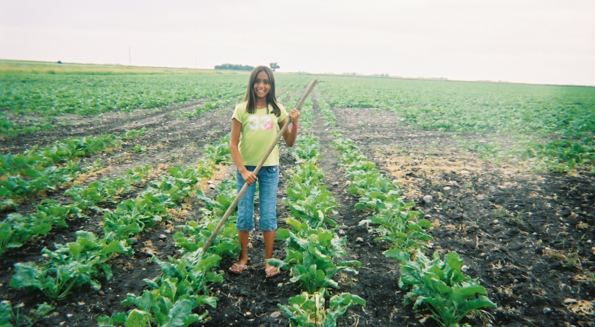 A young US farmworker (Photo courtesy of the Association of Farmworker Opportunity Programs)