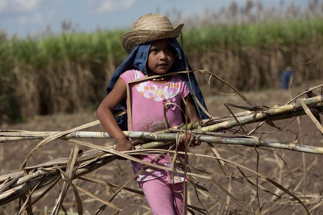 Child sugarcane worker. Photo by Noah Friedman-Rudovsky. Courtesy of Green America.