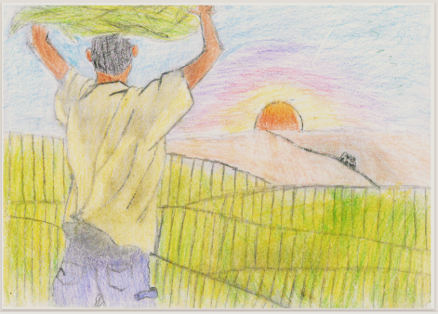 A young man stands with his arms raised above his head, supporting a load of harvested tobacco leaves. He faces striated green fields and a horizon that glows orange at sunset.